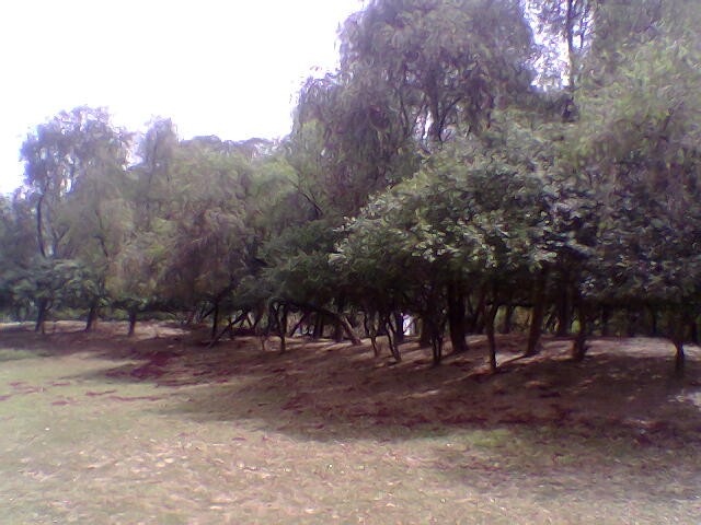 Shanti Kunj cover